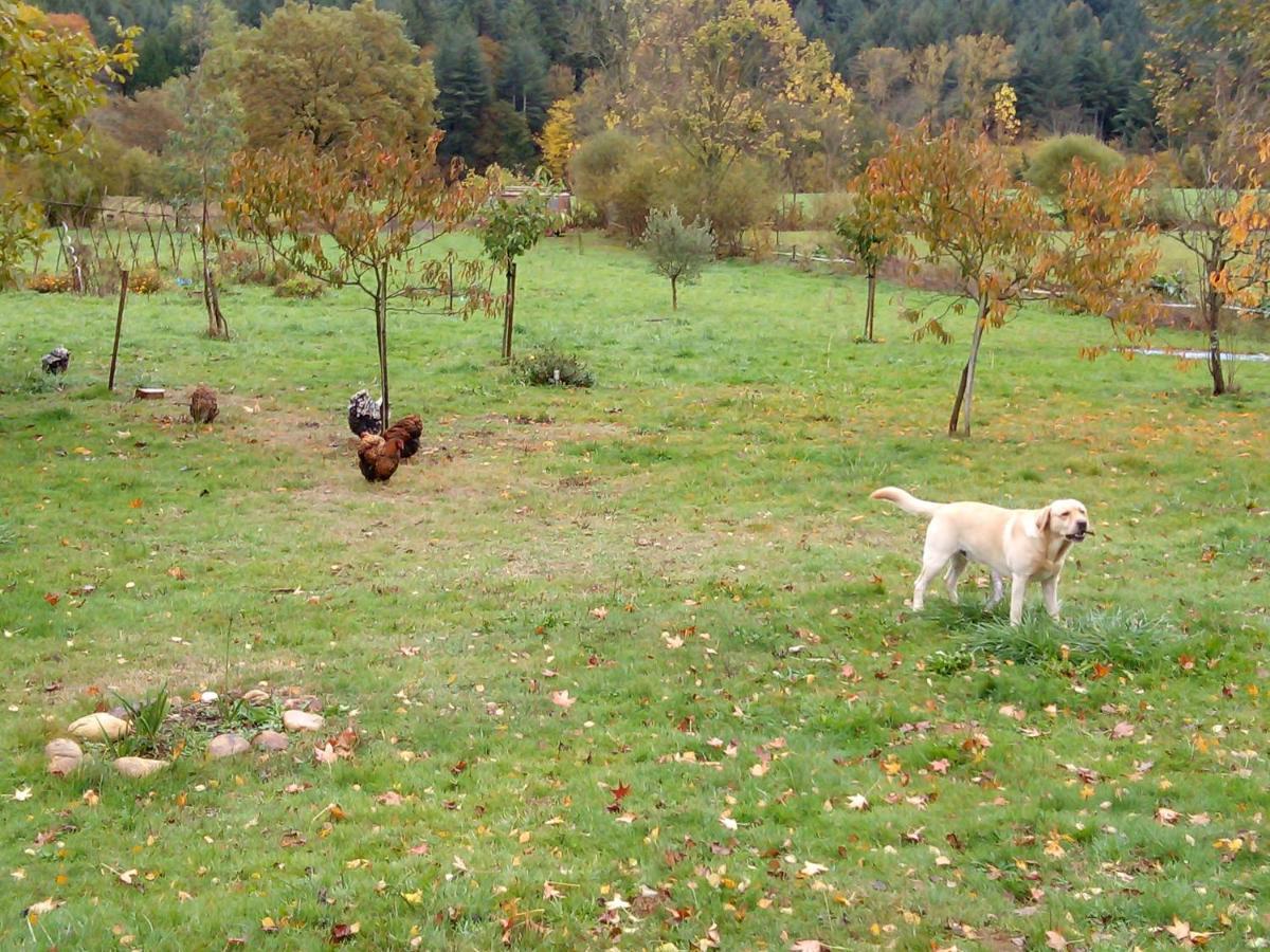 Cap Det Bosc Ξενοδοχείο Réjaumont Εξωτερικό φωτογραφία